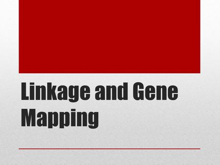 Linkage and Gene Mapping. Mendel’s Laws: Chromosomes Locus = physical location of a gene on a chromosome Homologous pairs of chromosomes often contain.