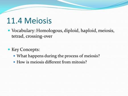 11.4 Meiosis Vocabulary: Homologous, diploid, haploid, meiosis, tetrad, crossing-over Key Concepts: What happens during the process of meiosis? How is.