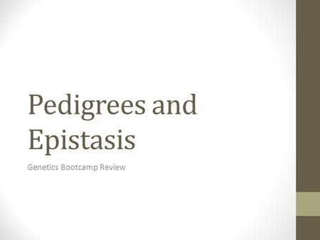 Pedigrees and Epistasis Genetics Bootcamp Review.