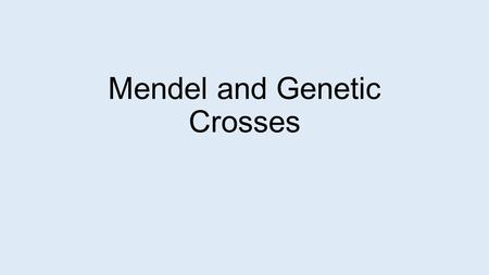 Mendel and Genetic Crosses. Mendel Gregor Mendel – botanist Studied inheritance through pea plants 1850’s Pea plants – sexual reproduction Usually self-fertilize.