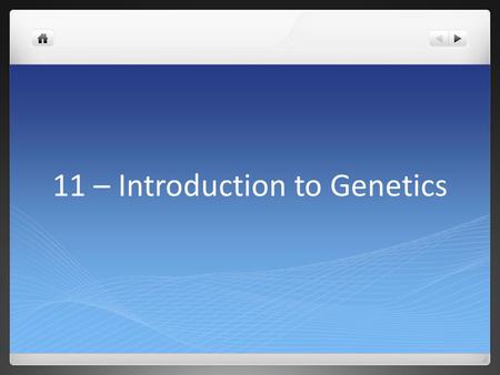 11 – Introduction to Genetics