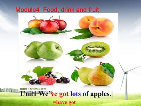 Module4 Food, drink and fruit Unit1 We’ve got lots of apples. =have got.