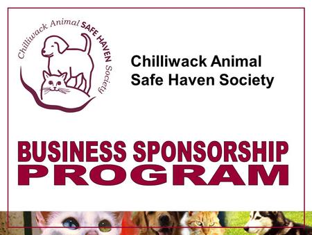 Chilliwack Animal Safe Haven Society. Who We Are The Chilliwack Animal Safe Haven Society is Chilliwack’s newest animal rescue/shelter. We are a registered.