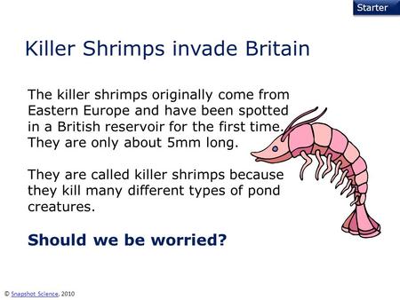 Starter © Snapshot Science, 2010Snapshot Science Killer Shrimps invade Britain The killer shrimps originally come from Eastern Europe and have been spotted.