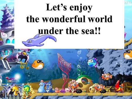 Let’s enjoy the wonderful world under the sea!!. Dolphins 海豚.