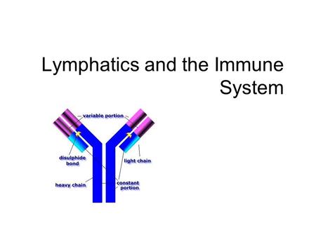 Lymphatics and the Immune System. 2 Lymphatic System  One way system: to the heart  Return of collected excess tissue fluid  Return of leaked protein.