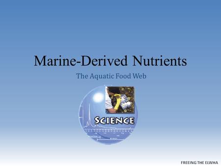 Marine-Derived Nutrients The Aquatic Food Web. Algal Blooms The North Pacific Turns Green.