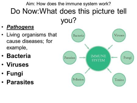 Aim: How does the immune system work? Do Now:What does this picture tell you? Pathogens Living organisms that cause diseases; for example, Bacteria Viruses.
