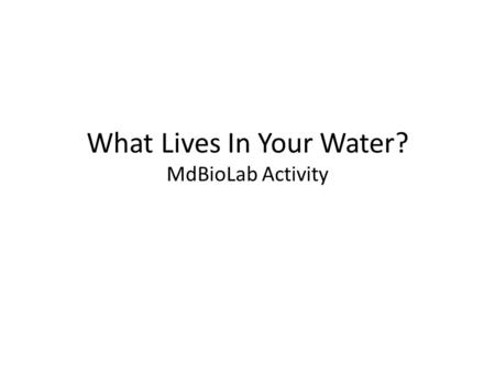What Lives In Your Water? MdBioLab Activity. Basic Learning Goals Students will understand the connection between water quality and – Economics of Maryland.
