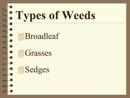 Types of Weeds 4 Broadleaf 4 Grasses 4 Sedges. Life Cycles 4 Annuals –Summer –Winter 4 Biennials 4 Perennials –Summer –Winter.