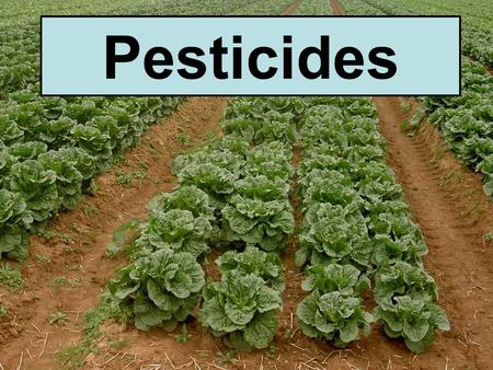 Pesticides. Pests Any organism that: 1.competes with us for food 2.Invades lawns and gardens 3.Destroys wood in houses 4.Spreads disease 5.A nuisance.