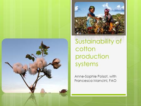 Sustainability of cotton production systems