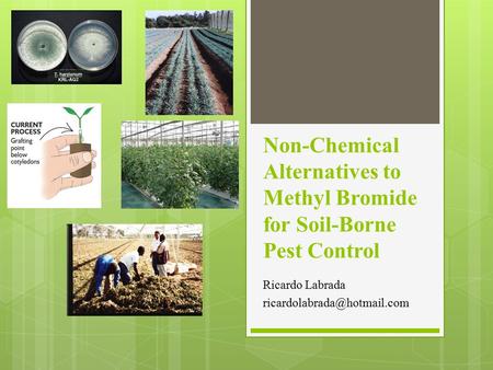 Non-Chemical Alternatives to Methyl Bromide for Soil-Borne Pest Control Ricardo Labrada