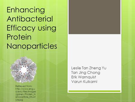 Enhancing Antibacterial Efficacy using Protein Nanoparticles Leslie Tan Zheng Yu Tan Jing Chong Erik Warnquist Varun Kulkarni Retrieved from: