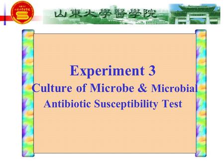 Experiment 3 Culture of Microbe & Microbial Antibiotic Susceptibility Test.