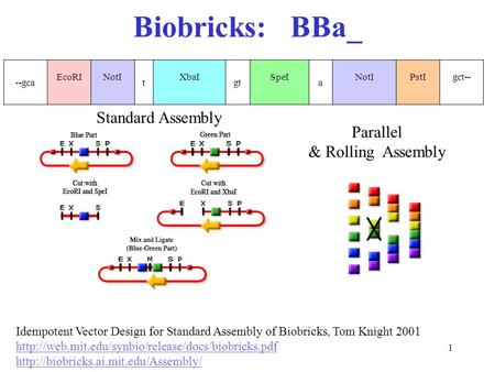 1 Biobricks: BBa_ --gca EcoRINotI t XbaI gt SpeI a NotIPstIgct-- Idempotent Vector Design for Standard Assembly of Biobricks, Tom Knight 2001