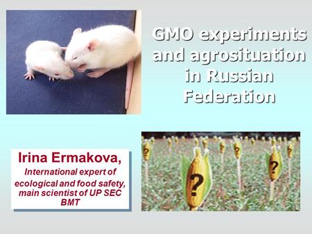 GMO experiments and agrosituation in Russian Federation Irina Ermakova, International expert of ecological and food safety, main scientist of UP SEC BMT.