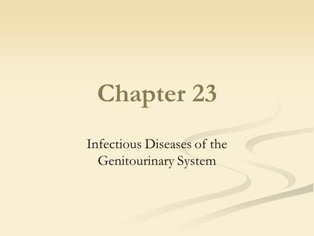 Infectious Diseases of the Genitourinary System