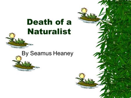 Death of a Naturalist By Seamus Heaney. All year the flax-dam festered in the heart Of the townland; green and heavy headed Flax had rotted there, weighted.