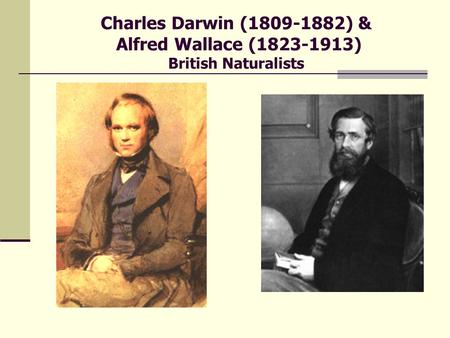 Charles Darwin (1809-1882) & Alfred Wallace (1823-1913) British Naturalists.