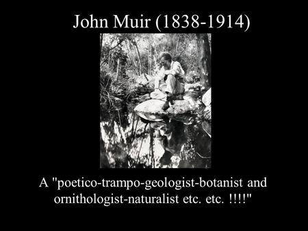 John Muir (1838-1914) A poetico-trampo-geologist-botanist and ornithologist-naturalist etc. etc. !!!!