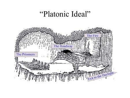 “Platonic Ideal”. Scala Naturae: Great Chain of Being.
