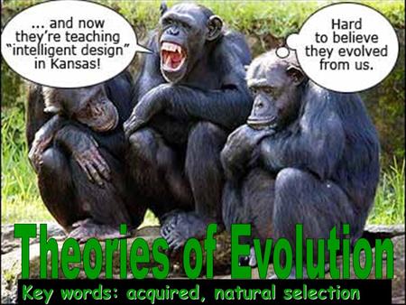Theories of Evolution Key words: acquired, natural selection.
