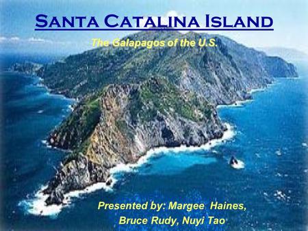 Presented by: Margee Haines, Bruce Rudy, Nuyi Tao Santa Catalina Island The Galapagos of the U.S.