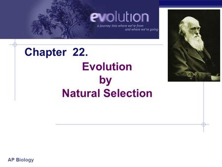 AP Biology Chapter 22. Evolution by Natural Selection.