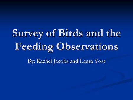 Survey of Birds and the Feeding Observations By: Rachel Jacobs and Laura Yost.