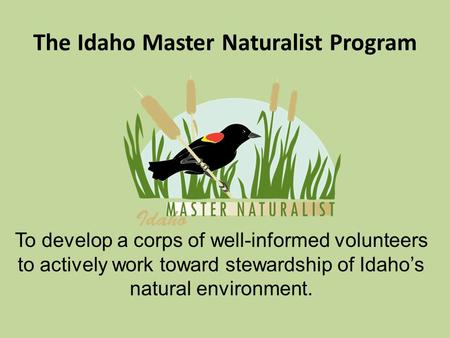 The Idaho Master Naturalist Program To develop a corps of well-informed volunteers to actively work toward stewardship of Idaho’s natural environment.