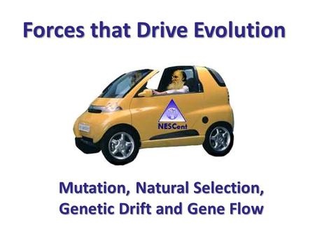 Forces that Drive Evolution Mutation, Natural Selection, Genetic Drift and Gene Flow.