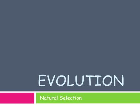 Evolution Natural Selection.