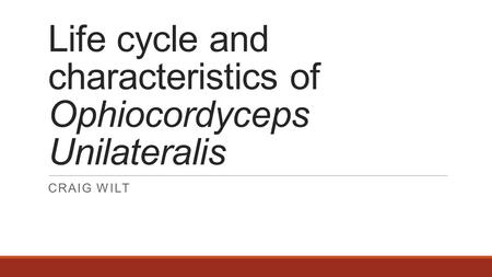 Life cycle and characteristics of Ophiocordyceps Unilateralis CRAIG WILT.