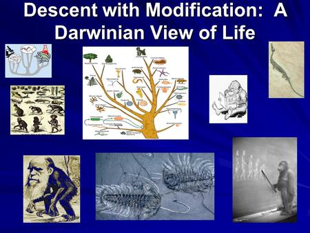 Descent with Modification: A Darwinian View of Life.