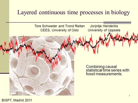 Layered continuous time processes in biology Combining causal statistical time series with fossil measurements. Tore Schweder and Trond Reitan CEES, University.