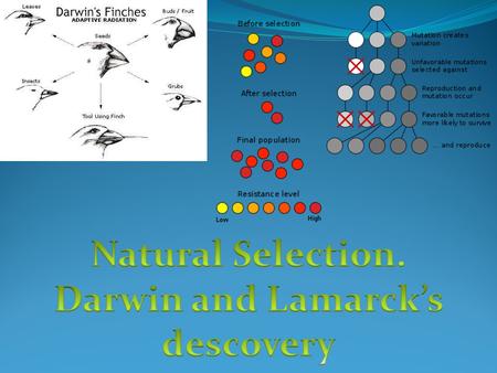 Darwin and Lamarck’s descovery