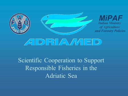 Scientific Cooperation to Support Responsible Fisheries in the Adriatic Sea.