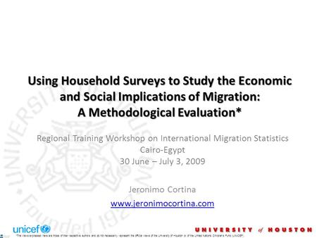 Using Household Surveys to Study the Economic and Social Implications of Migration: A Methodological Evaluation* Regional Training Workshop on International.