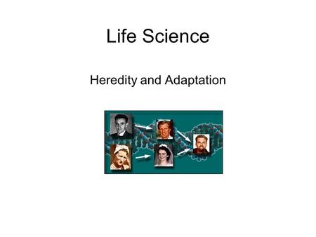 Heredity and Adaptation