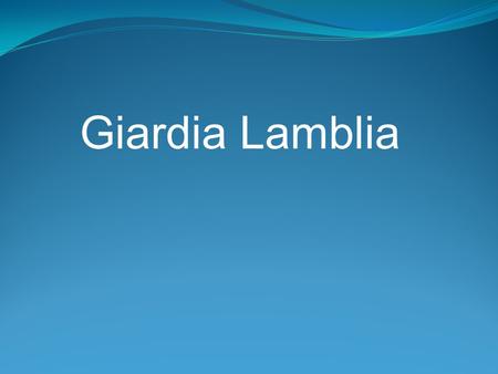 Giardia Lamblia. Giardia Giardia lamblia is a flagellated protozoan that infects the duodenum and small intestine. range from asymptomatic colonization.
