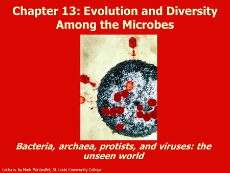 Chapter 13: Evolution and Diversity Among the Microbes
