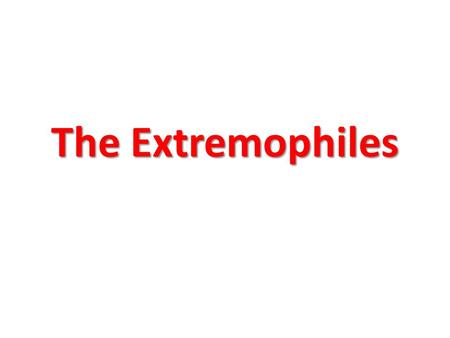The Extremophiles.