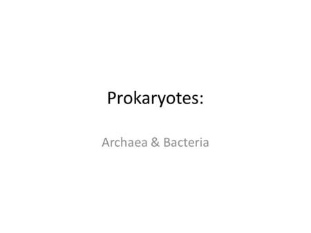Prokaryotes: Archaea & Bacteria. The Tree of Life All living things classified in three domains: –Bacteria –Archaea –Eukarya.