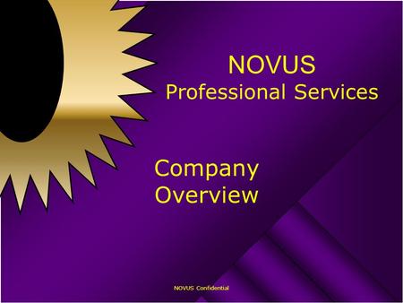 NOVUS Confidential NOVUS Professional Services Company Overview.