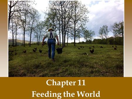 Chapter 11 Feeding the World.