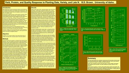 Yield, Protein, and Quality Response to Planting Date, Variety, and Late N. B.D. Brown. University of Idaho. Introduction Higher market prices for the.