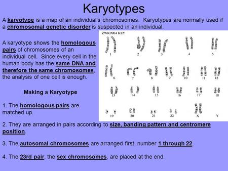 Karyotypes A karyotype is a map of an individual’s chromosomes. Karyotypes are normally used if a chromosomal genetic disorder is suspected in an individual.