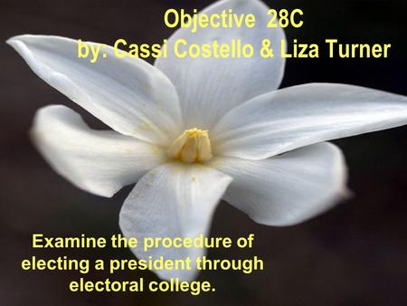 Objective 28C by: Cassi Costello & Liza Turner Examine the procedure of electing a president through electoral college.