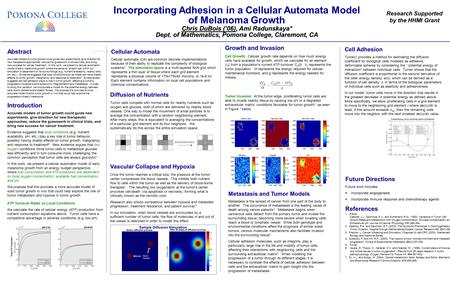Incorporating Adhesion in a Cellular Automata Model Chris DuBois (’06), Ami Radunskaya* of Melanoma Growth Chris DuBois (’06), Ami Radunskaya* Dept. of.